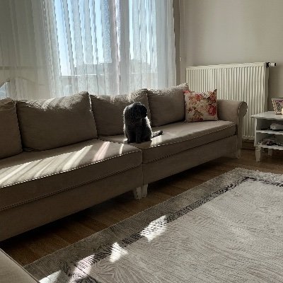 PhDCandidate92's profile picture. Fizik 
Dr.| Scientist🔬 | 👩🏻‍🎓 Student of Everything Else.