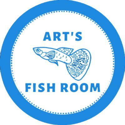 ArtsFishRoom's profile picture. A hobbyist based in Cape Town, South Africa. Supplier of locally bred livebearers and shrimp.