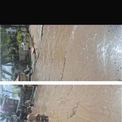 2137rraut's profile picture. “Responsibility in action strengthens our civic structures.” "Democracy thrives when citizens rise to their responsibilities."