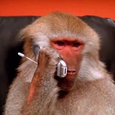 Patron69xx's profile picture. I'm the red candle you fear🚜
https://t.co/48gRvMcBqn