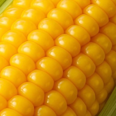 momokochanyukai's profile picture. 老後はオタクと過ごしたい！#momokochanfly #ももこみっくす ファンマ➡🍑🌽 インスタ➡ https://t.co/ZupAmijHoQ ティックトック➡ https://t.co/Cqf12p0e1p