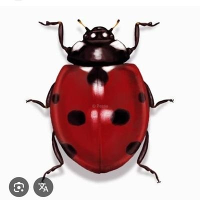 ArunSharma19114's profile picture. 