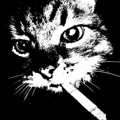 DanteCosta666's profile picture. Mexican bot.
Don't mind me, just watchin'