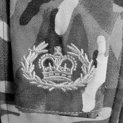 BucksheeSSgt's profile picture. 🇬🇧 WO2 in the British Army. Long time follower of #miltwitter Gender-critical islamophobe, sorry, not sorry.