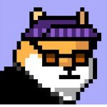 xdisco3rd's profile picture. 반려견 애호가