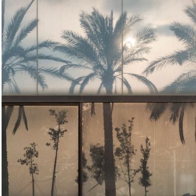 preciioous_1's profile picture. 