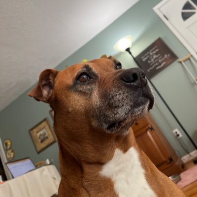 grbibb's profile picture. “ Tell me, tell me, tell me the answer. You may be a lover, but you ain’t no dancer. “