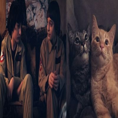 olgusia_loveu's profile picture. 