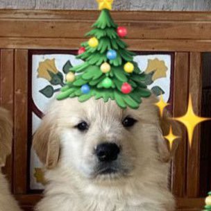 fafangfy's profile picture. I ❤️ BP // BTS // CORTIS🤟🏻