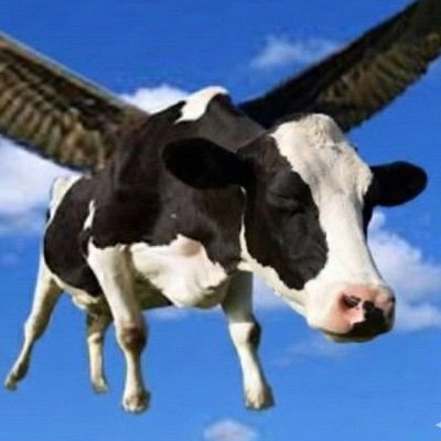 o9J8zIbyBFMr6sO's profile picture. 