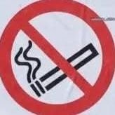 GersonIsHere's profile picture. there's nothing here, I'm archiving this one for good