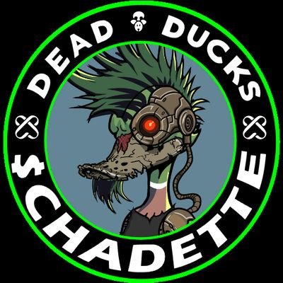 chaseweb's profile picture. Software Engineer | Web2 ➡️ Web3
Communities I'm bullish on @DeadDucks_NFT and  @Chadettecoin