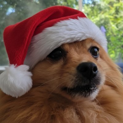 Smokehbear's profile picture. America First.
$TSLA⚡️🤖 
$PLTR🔮
Space Host/Debater.🎙
The Future is here embrace it!
https://t.co/uwwGGMTeJN ☕️