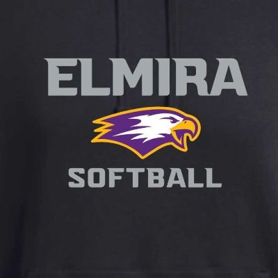 ElmiraCollegeSB's profile picture. https://t.co/bMPQt1q63W

Empire 8 Tournament Appearances: 
'02, '03, '04, '05, '13, '21, '23, 2025
