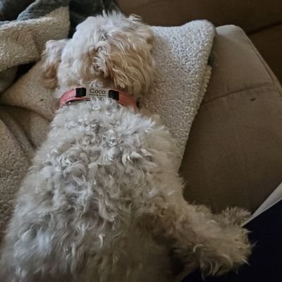 waynerdavies's profile picture. Et tu, Brute? Political junkie, movie buff and avid sci-fi reader. Animal lover. Rutgers Nation. Natural athlete ;)
Time is a flat circle.