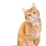 dressler541746's profile picture. 