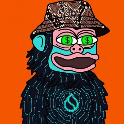 0xbluebell's profile picture. Mystic Yeti #1160 | Bored Toilet Club #38 | nineteen70.sui | ZenFrogs #1131 | Suimilios #2072 | Enlightenment #282 | The Awakening #941 | Puggies #136