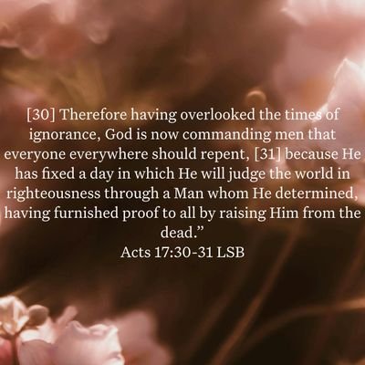 TimDC04's profile picture. 