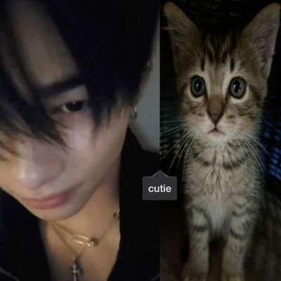 irillikss's profile picture. ¿?¿?