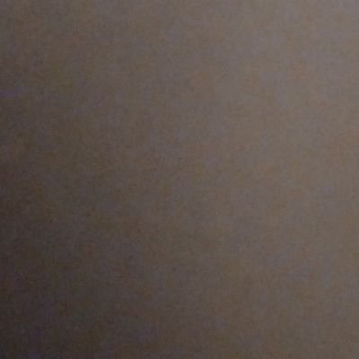 MartenRoz1981's profile picture. 