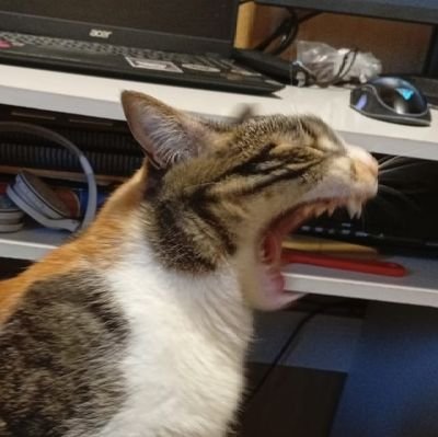 este_menso1's profile picture. Director creativo de FreaksStudio
Dibujante y creador de cómics
Diseño Industrial UBB