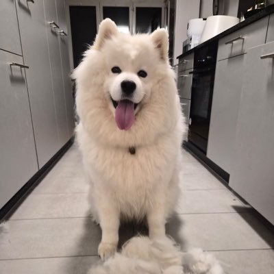 BeneditaNe82237's profile picture. Personal Styling und Visagistin: Ilove fashion, my family, traveling🇨🇭Stylistin