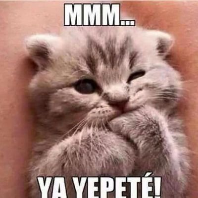 Dan_faltering's profile picture. ME EDTA LLEVANDO LA BERGA AYUD3NME INBESILES