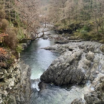 Haadiya529358's profile picture. 