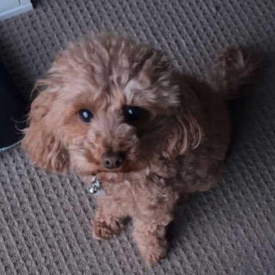 NinjafishSago's profile picture. Back off Warchild, seriously