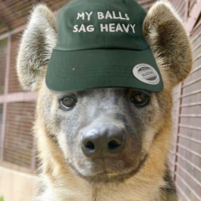 AzeqTeR's profile picture. 🦚