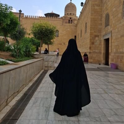 ShahdMoham71521's profile picture. 