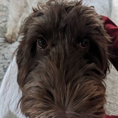 KevinW40856's profile picture. 