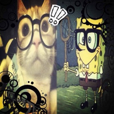 hateecaaas's profile picture. #ilovemybf