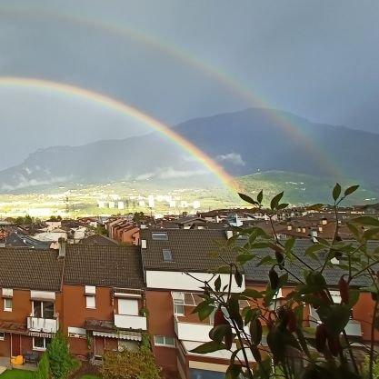 Nat11natR's profile picture. 