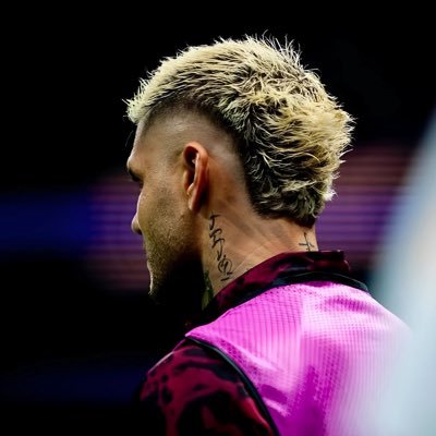 omeredeball's profile picture. ai/software eng