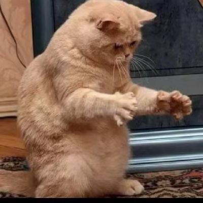 Fvckn_dosted's profile picture. 🖤🏴‍☠️ ||INVICTUS||