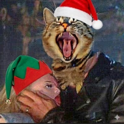 CatImcat's profile picture. 🇺🇸/🏴󠁧󠁢󠁷󠁬󠁳󠁿/🇦🇹/freak