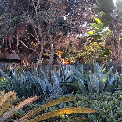 aquaserene_'s profile picture. he/him, 24 y/o smash & bball enthusiast, Corrin/Byleth & Clippers/Storm, 0-2er on a good day, Vegan, Pan/Demi, ASD, Eco-Socialist, Jewish/Athiest, PuBLiC FiGuRe