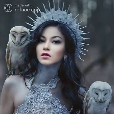 germanshepard8's profile picture. Ad Astra per Aspera! 
Cattolica Apostolica Romana
W Francesco e Leone