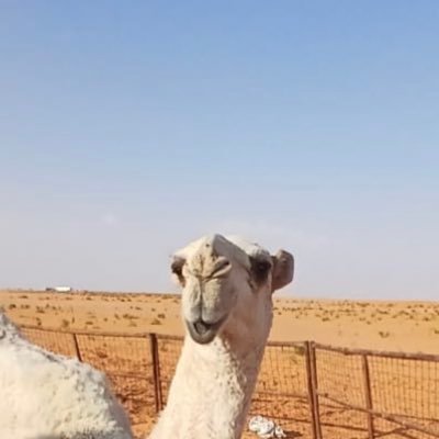 Xa1_11's profile picture. 