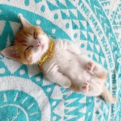 VAZuGAmiyh24665's profile picture. アフィリエイトを始めたいアフィリエイト初心者の方は独学で学ぶのはよしましょう😃
ノウハウの準備をしてからアフィリエイトを始める事ですぐ大儲けできます😃特にアフィリエイト初心者の方はフォローください😃