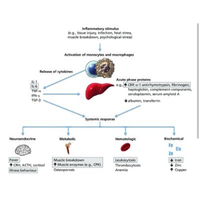 bruhzilIa's profile picture. bu sweatshirt bana ex situationshipimin hediyesi onu giyiyorum, havalar soguk oldugu için ceketimlen beraber.