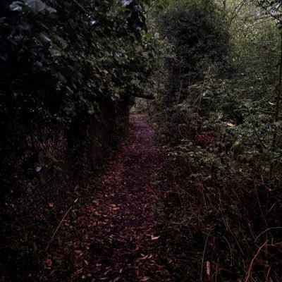 ohmrmt's profile picture. 