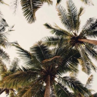 thereallRenad's profile picture. فَإِنَّ مَعَ الْعُسْرِ يُسْرًا * إِنَّ مَعَ الْعُسْرِ يُسْرًا