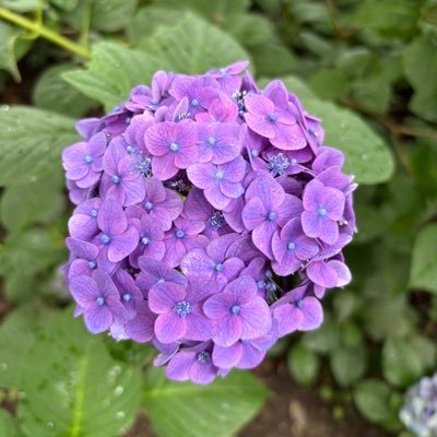 browse_and's profile picture. 2025.11〜🇬🇧/♂/Chelsea/無言フォロー失礼します。よろしくお願いします😆