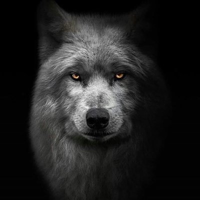 SardarSahu80772's profile picture. Just a Men