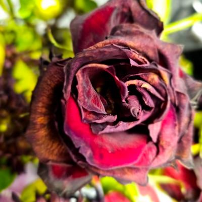 RoxTintedGlass's profile picture. Helping Small Businesses Scale from Solo Entrepreneurs to Thriving Teams.
Business Strategy | HR