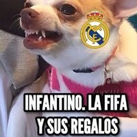 Ale (@lcllmapsl) 's Twitter Profile Photo