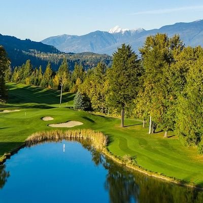 DavidAlanW53501's profile picture. 