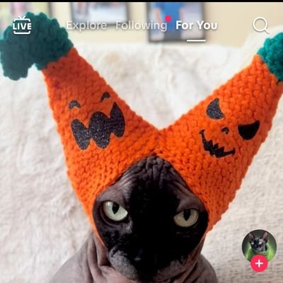 Eekkk44's profile picture. 